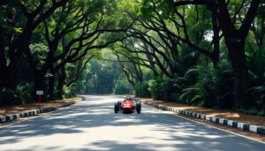 Old Upper Thomson Road: Grand Prix Past & Park Connector